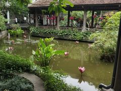 -河内西湖莲花自助餐厅