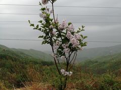 -阳台山自然风景区