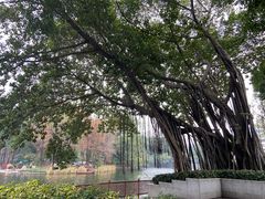 -广州西关永庆坊旅游区