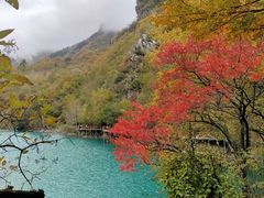 -叠溪松坪沟景区