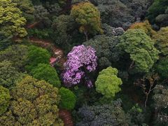 -梧桐山风景名胜区