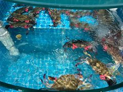 -蓝珊海鲜澳洲和牛自助餐厅