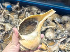 -帝皇海海鲜豆捞(桐泾商务广场店)