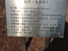-丰台花园
