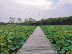 -梁鸿国家湿地公园