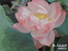 -陶然亭公园
