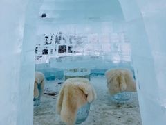 -多乐美地滑雪场