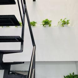 -久匠半永久纹眉
