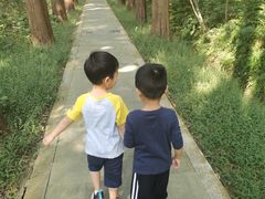 -同里国家湿地公园