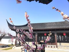 -灌云梅园景区