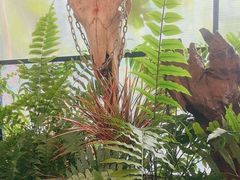 -野蔓果·山野菜(西湖景区·龙井茶田店)