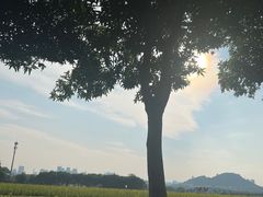 -光明小镇欢乐田园