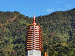 -深圳仙湖植物园-停车场