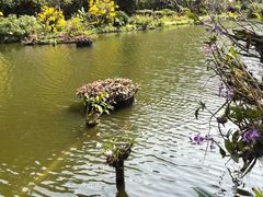 -深圳仙湖植物园