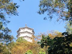 -深圳国际园林花卉博览园