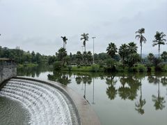 -枫香湖儿童公园