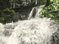-藏龙百瀑风景区