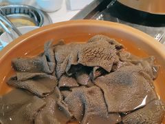 -龍歌自助小火锅(市南金茂湾店)