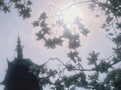 -常熟方塔园