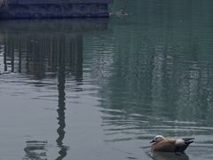 -河北省园博园