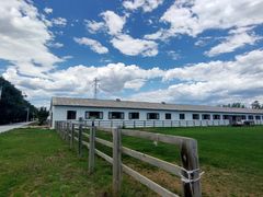 -北京群众马术培训基地