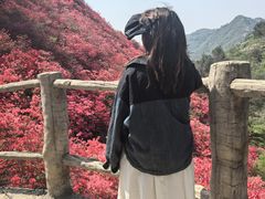 -木兰云雾山