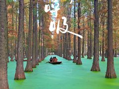 -渌洋湖湿地公园