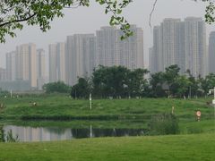 -洋湖国家湿地公园