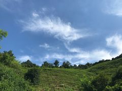-莫干山郡安里度假酒店-桃尖中餐厅