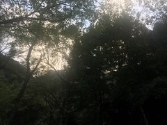 -天明山温泉大酒店