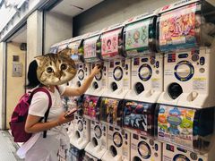 -秋叶原电器街