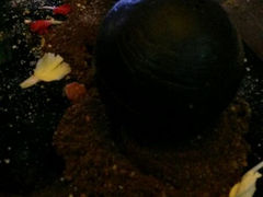 android_upload_pic-甲丁坊