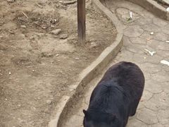 -无锡动物园·太湖欢乐园