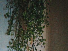 -至尊名仕·中泰按摩·养生SPA会所