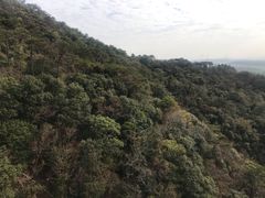 -牛鱼嘴原始生态风景区