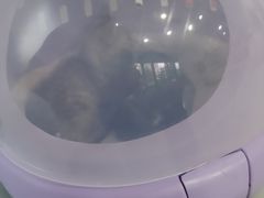 -中农国际动物医院24小时·猫科·骨科·急重症中心