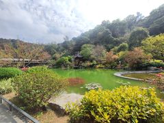 -云溪植物园