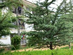 -丽江文化旅游学院