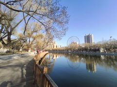 游乐设施-沈阳南湖公园