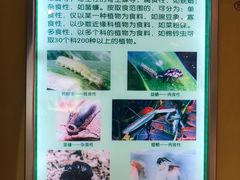 -上海昆虫博物馆