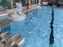 -DBSWIM深呼吸国际游泳培训(建国宾馆店)