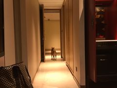 -上海崇明金茂凯悦酒店