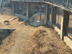 -石家庄市动物园