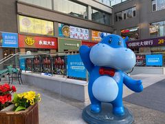 -盒马鲜生(双清路店)