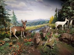 -陕西自然博物馆