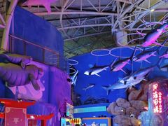 -烟台海昌鲸鲨海洋公园