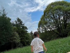 -生态园山庄(森林公园店)