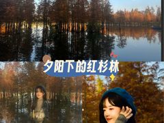 -白鹭湾湿地公园