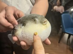 -肆月河豚·新淮扬(金融街店)