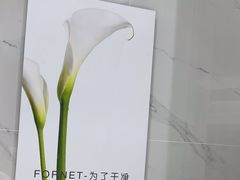 -福奈特洗衣洗鞋(宝华广场店)